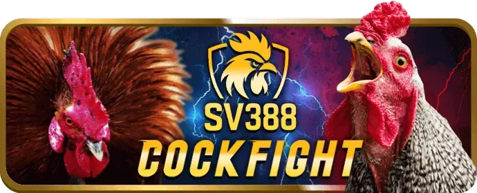 Tham gia vm88 casino ngay hôm nay